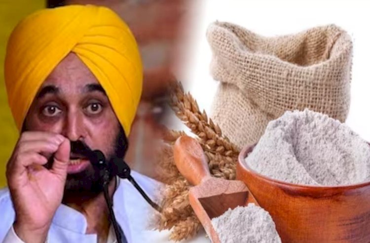 पंजाबियों के लिए बड़ी खबर..गेहूं-आटे की होम डिलीवरी को लेकर बड़ा अपडेट