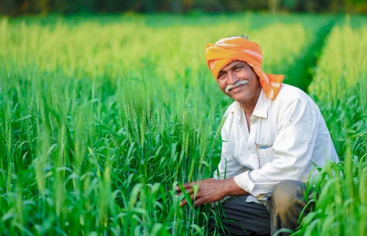 इन किसानों को नहीं मिलेगा पीएम किसान की 16वीं किस्त का पैसा, जानें