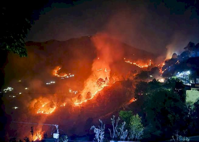 उत्तराखंड के जंगलों में आग: पर्यावरण को हो रहा नुकसान, धुएं से सांस लेना हो रहा मुश्किल