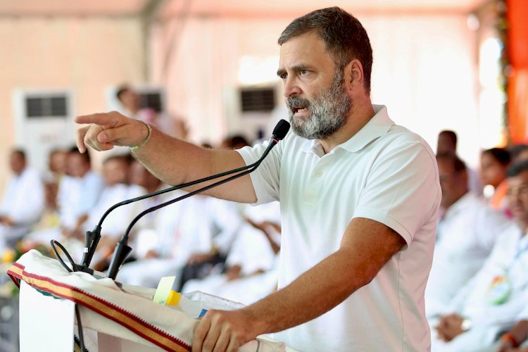 राहुल गांधी कल हरियाणा में भरेंगे हुंकार, एक दिन में करेंगे तीन रैलियां, क्या बदलेगी हरियाणा की सियासी फिजा ?