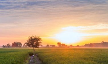 Weather Update News: मौसम ने बदला अपना मिजाज अगले कई दिन रहेगा एक जैसा, जानिए अगले मौसम का हाल