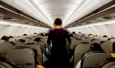 लॉटरी जीतने के बाद फ्लाइट अटेंडेंट ने बीच उड़ान में दिया इस्तीफा, पढ़ें पूरी खबर