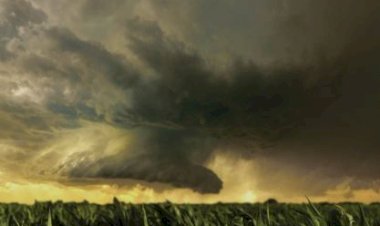 पंजाब में अगले दो दिन बारिश की संभावना, जानें कब तक रहेगा गर्मी का अलर्ट