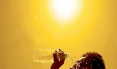 Weather Update: पंजाब में अगले 4 दिनों के लिए लू की चेतावनी जारी