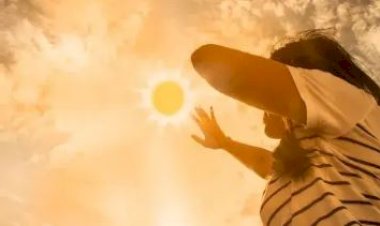 पंजाब में अगले 6 दिनों के लिए लू का अलर्ट जारी, कई जिलों में तापमान 40 डिग्री के पार