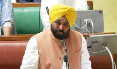 विधानसभा सत्र के दौरान बोले CM मान, कहा- हम पिछली सरकारों के दुष्परिणाम भुगत रहे हैं