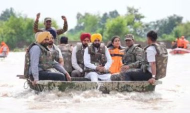 आप सरकार की संवेदनशील पहल – बाढ़ में फंसे पशुओं को भी मिली राहत