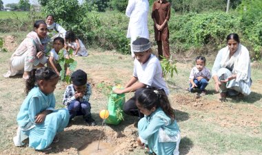 प्रधानमंत्री मोदी के 75वें जन्मदिन को समर्पित सेवा पखवाड़े के अंतर्गत मोहाली के एक गाँव में संधूर के पौधे लगाकर "ऑपरेशन संधूर" के वीर जवानों के जज्बे को सलाम