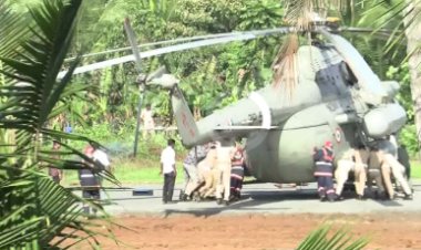 राष्ट्रपति द्रौपदी मुर्मू बाल-बाल बचीं, हेलीपैड का ढह गया एक हिस्सा