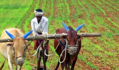 इस बार लाखों किसानों के खातों में आ सकते हैं ₹4,000, यहां पढ़ें 21वीं किस्त को लेकर बड़ा अपडेट