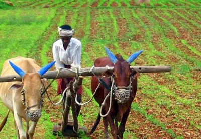 इस बार लाखों किसानों के खातों में आ सकते हैं ₹4,000, यहां पढ़ें 21वीं किस्त को लेकर बड़ा अपडेट