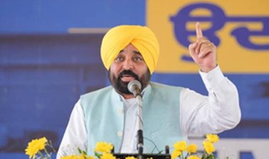 पंजाब सरकार की ऐतिहासिक उपलब्धि; 11 लाख से अधिक किसानों को मिला एम.एस.पी. का लाभ