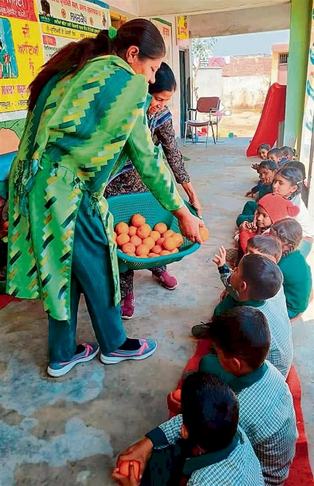 अब बच्चों को मिलेगा ऑर्गेनिक मिड-डे मील,पंजाब के 5,000 सरकारी स्कूलों में 'पौष्टिक बगीचे' बनाएगी मान सरकार