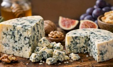 ब्लू चीज़ फंगस से भरा होता है. लोग इसे  क्यों करते हैं इतना पसंद?