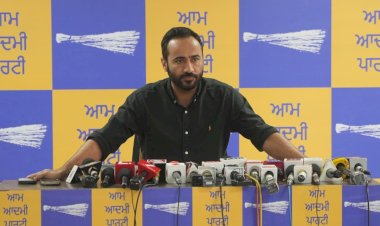 आप' नेताओं के घर पर ईडी-सीबीआई की रेड करवाकर अमित शाह पार्टी तोड़ने की कर रहे कोशिश: मीत हेयर