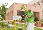 उपराष्ट्रपति सीपी राधाकृष्णन ने विश्व पर्यावरण दिवस पर सभी से 'एक पेड़ मां के नाम' अभियान में शामिल होने की अपील की
