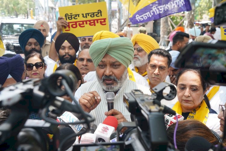 मुख्यमंत्री भगवंत सिंह मान को निशाना बनाने वाली फर्जी वीडियो फैलाकर अकाली दल की पंथ विरोधी और पंजाब विरोधी गतिविधियों के खिलाफ आप ने प्रदेश स्तरीय प्रदर्शन किया